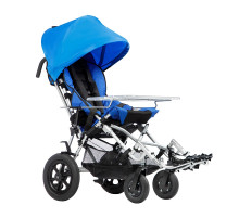 Lion (детская)